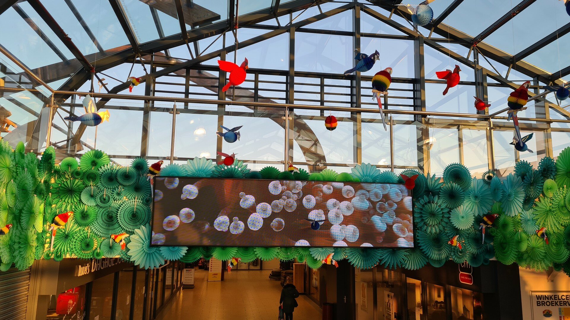 Jungle Style - Broekerveiling