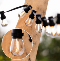 Warm witte filament lampen - 1 watt