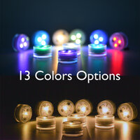 Set LED lampjes met afstandbediening kleuren