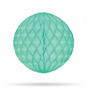 Honeycomb mint 20cm