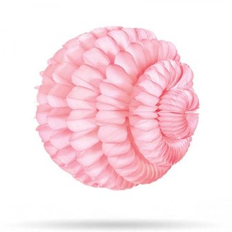 Wolkenbal Pro licht roze 21 cm