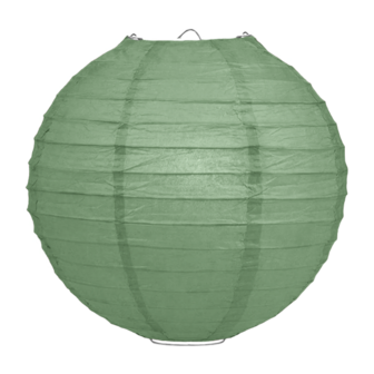 Lampion saliegroen 50cm