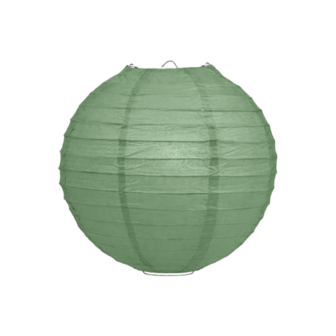 Lampion salie groen 25cm
