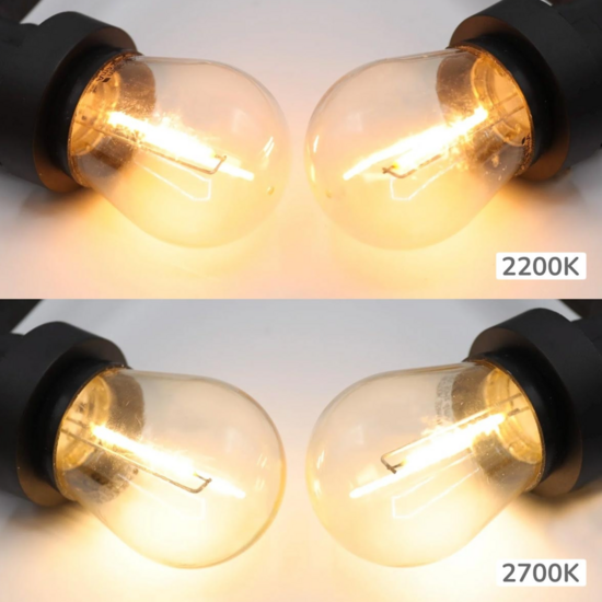Warm witte dimbare filament lampen - 1 watt