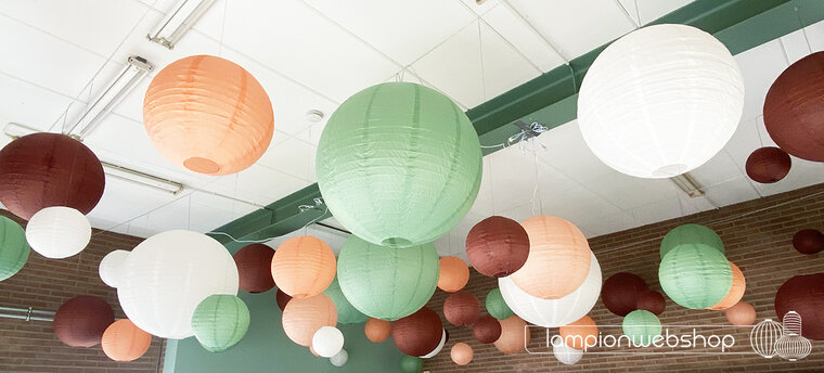Stichting Felis - Deventer