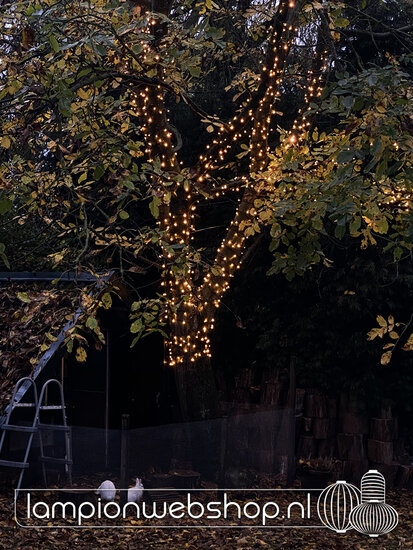 Droomboom met 1000 lampjes