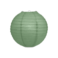 Lampion saliegroen 25cm