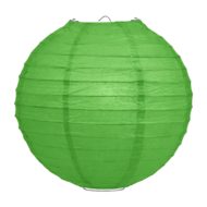 Lampion groen 50cm