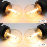 Warm witte dimbare filament lampen - 1 watt