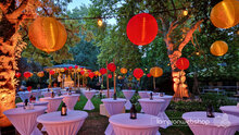 Lampionnen &amp; prikkabels in Artis