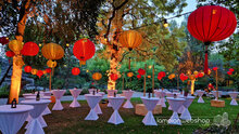 Lampionnen &amp; prikkabels in Artis
