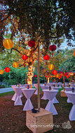 Lampionnen &amp; prikkabels in Artis