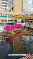 Lampionswens Rijnstate Vriendenfonds - Arnhem