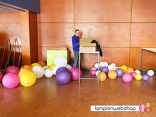 LingeCollege - Tiel - Deel 2
