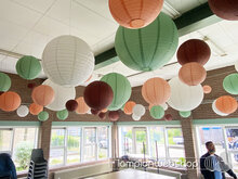 Stichting Felis - Deventer