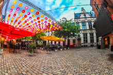 Stad Sint Niklaas | Grid van 300 lampionnen