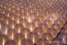 KWF '20 Nederland geeft licht