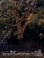 Droomboom met 1000 lampjes