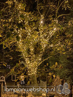 Droomboom met 1000 lampjes