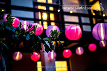 Nylon Lampionnen &amp; LED String