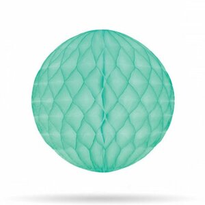 Honeycomb mint 20cm Honeycomb mint 20cm