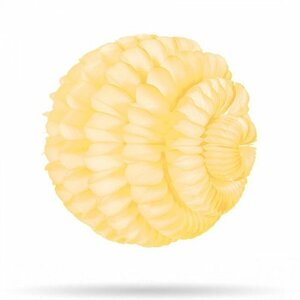 Wolkenbal Pro ivoor 21 cm