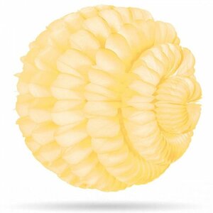 Wolkenbal Pro ivoor 36 cm