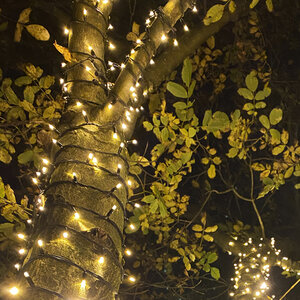 Droomboom verlichting-set - 500 lampjes Droomboom verlichting-set - 500 lampjes