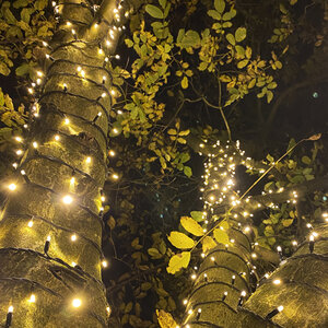 Droomboom verlichting-set - 1000 lampjes Droomboom verlichting-set - 1000 lampjes