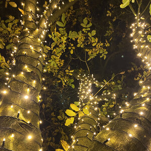 Droomboom verlichting-set - 1500 lampjes Droomboom verlichting-set - 1500 lampjes