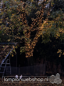 Droomboom met 1000 lampjes